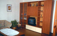 Television-area